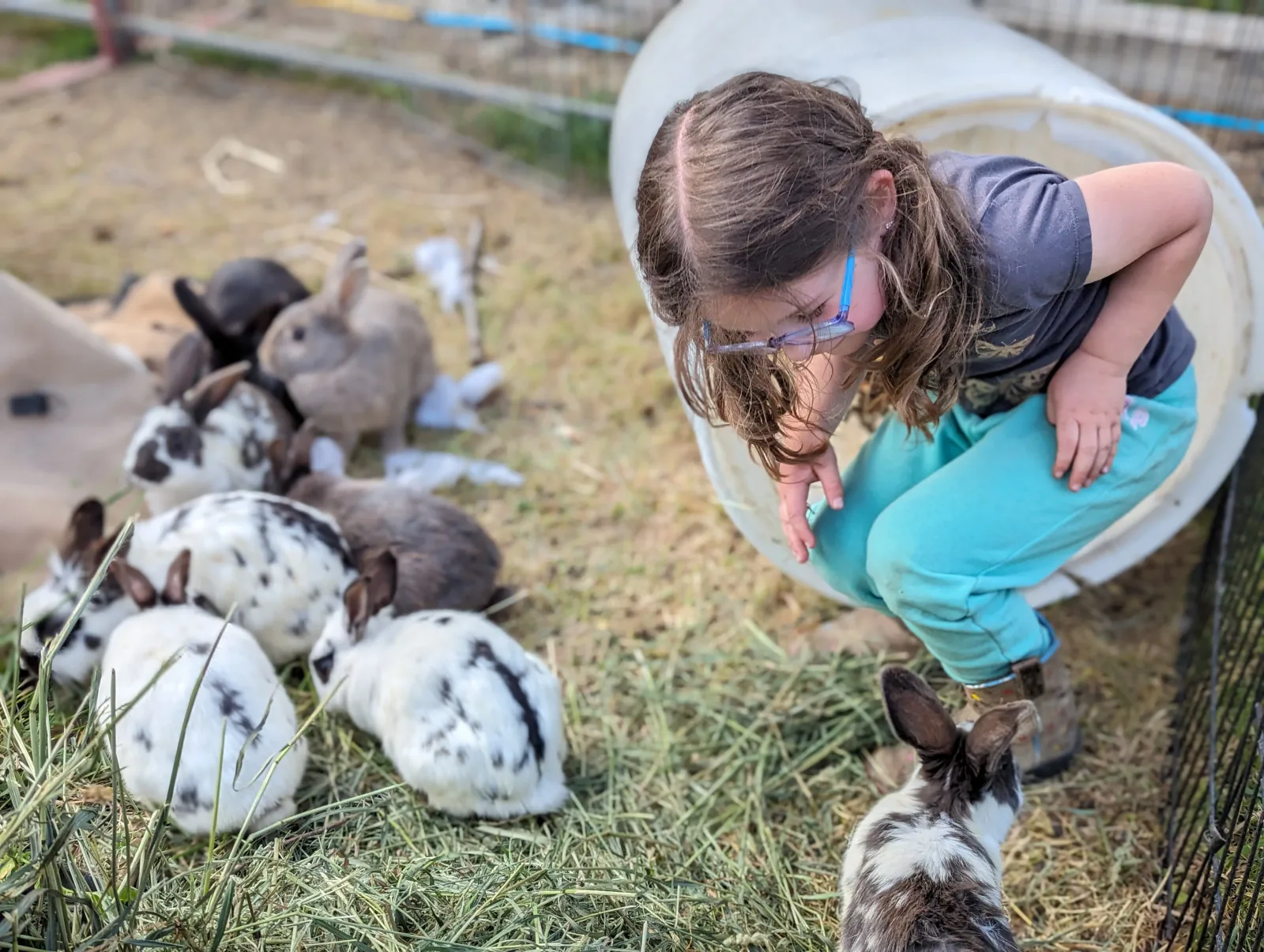 A young visitor crouched down among the rabbits in the refuge